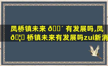 凤桥镇未来 🐴 有发展吗,凤 🦋 桥镇未来有发展吗zui
新消息